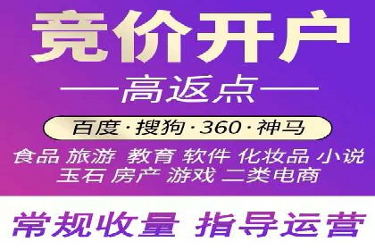某企业通过开户返点实现业绩翻倍的案例